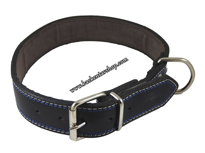 4 cm Vijital Yağlı Deri Köpek Tasması Siyah-av13813