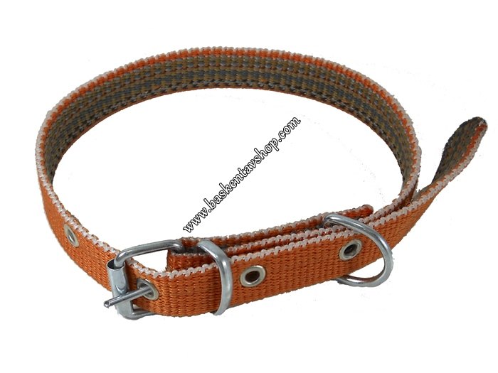 Turuncu Köpek Tasması 2.5 cm-av12402