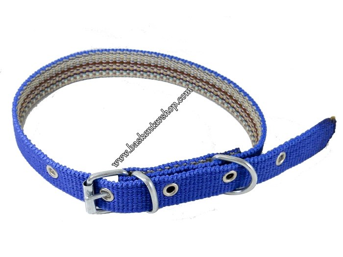 Mavi Köpek Tasması 2.5 cm-av11818