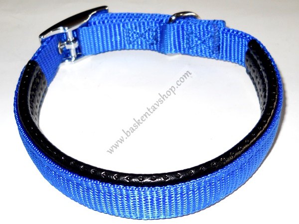 2 cm Ortopedik Köpek Tasması Mavi-av10778