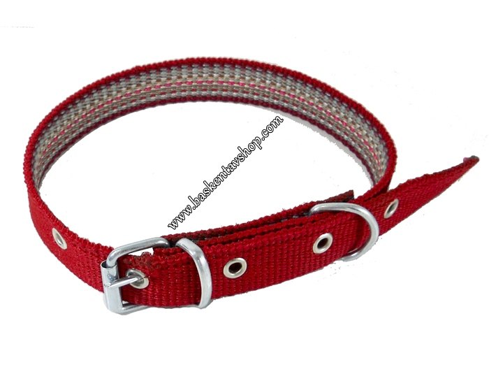 Kırmızı Köpek Tasması 2.5 cm-av10783