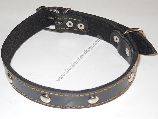 2.5 cm Süslü Köpek Tasması-av10772