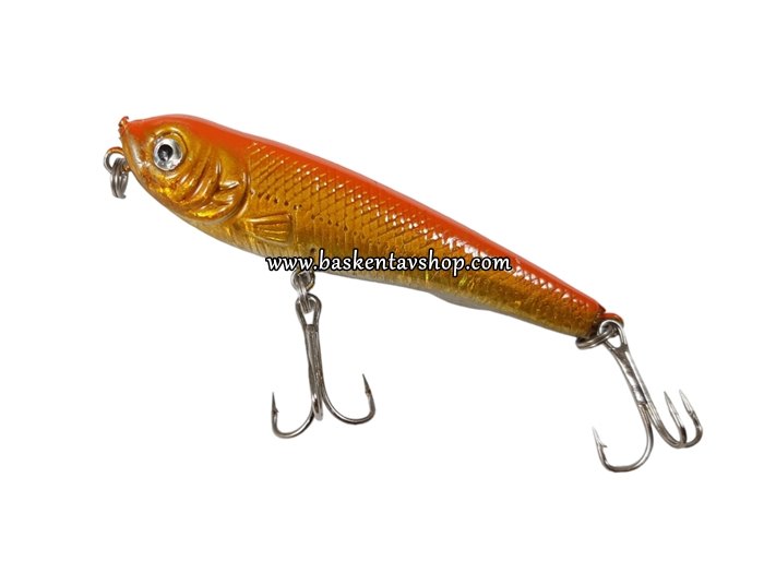 Salem 402216-70mm Rapala-av14452