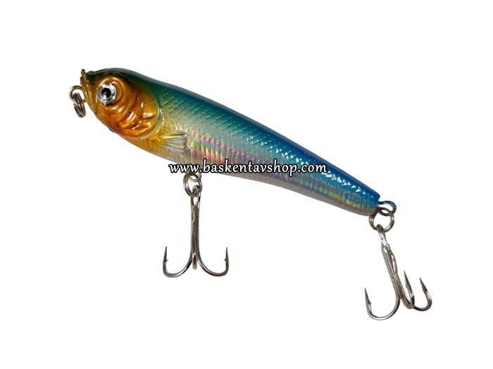 Salem 402216-70mm Rapala-av14453