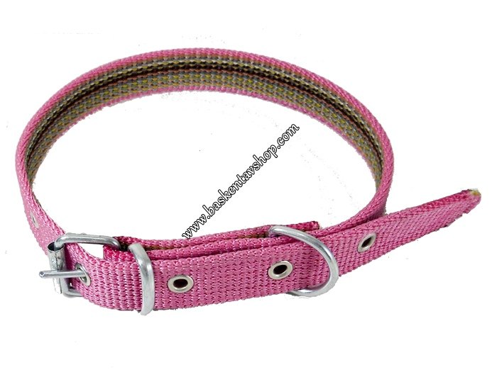 Pembe Köpek Tasması 2.5 cm-av10784